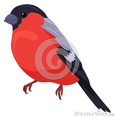 Bullfinch icon. Winter bird. European wild animal Stock Photo