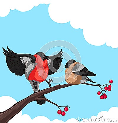 Bullfinch Vector Illustration