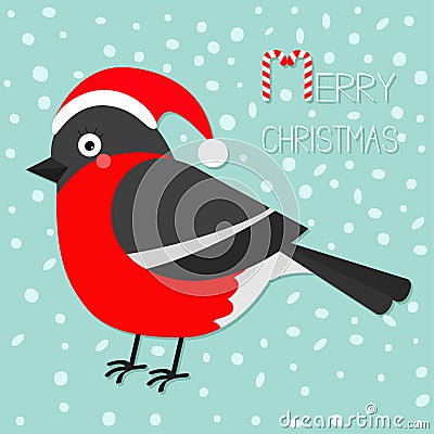 Bullfinch winter red feather bird. Santa hat. Merry Christmas greeting card. Vector Illustration