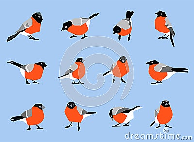 Bullfinches isolated on white background. Vector Illustration