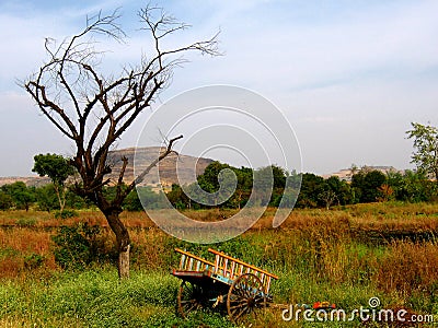 Bullock Cart Stock Photo