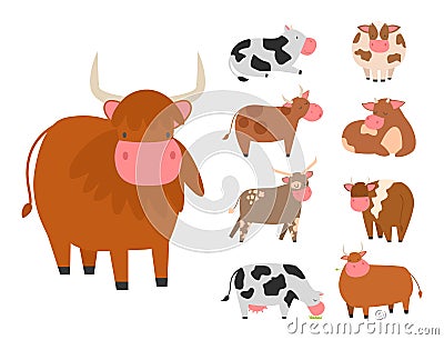 Bulls cows farm animal character vector illustration cattle mammal nature wild beef agriculture. Vector Illustration