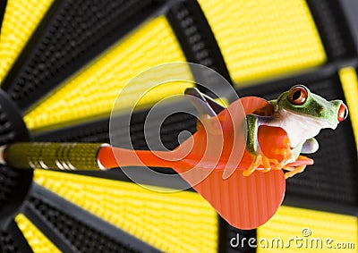 Bullseye Stock Photo