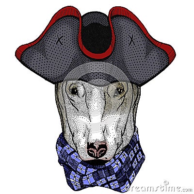 Bullterrier, dog. Portrait of cartoon animal. Cocked hat. Stock Photo