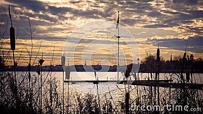 Bulrushes silhouetted against a lake at sunset Stock Photo