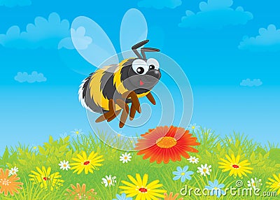 Bumblebee Stock Photo