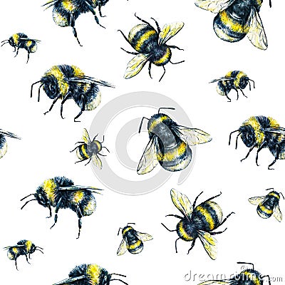 Bumblebee on a white background. Watercolor drawing. Insects art. Handwork. Seamless pattern Stock Photo