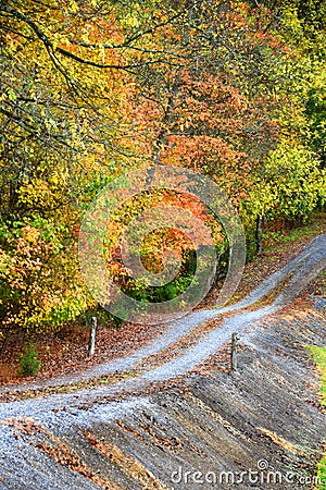 Bumpy Dirt Road Winds up Autumn Hillside Stock Photo