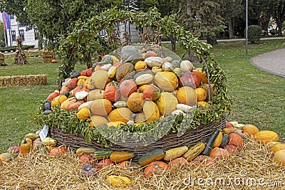 Bunch assorted gourds, zucchini, pumpkin and winter squash Stock Photo