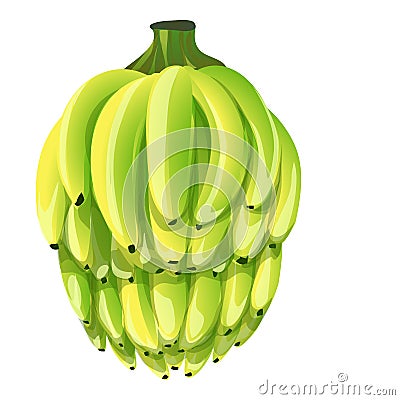 Bunch of bananas icon cartoon vector. Fruit plant Stock Photo