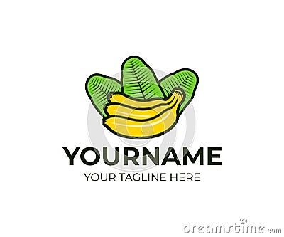 Bunch of bananas with leaves, logo template. Tropical and exotic fruit, vector design Vector Illustration