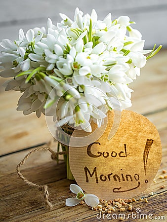 A bunch of beautiful delicate snowdrops Stock Photo