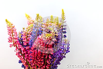 Bunch of beautiful lupine purple flowers against grey background. Bouquet of vivid summer flowers Stock Photo