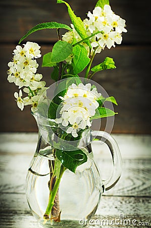 Bunch of bird tree flowers Stock Photo