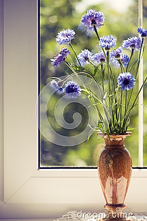 Bunch blue summery flowers on window Stock Photo