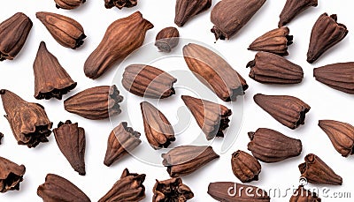 A bunch of brown nuts on a white background Stock Photo
