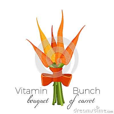 Bunch of carrots bound with parsley, green spinach and chard Vector Illustration