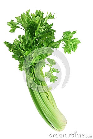 Bunch of Celery Stock Photo