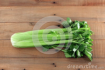 Bunch of Celery Stock Photo