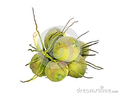 Bunch coconut fruit, Isolated on white background Stock Photo