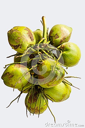 Bunch coconut Stock Photo