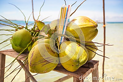 Bunch of coconuts on tropical island Stock Photo