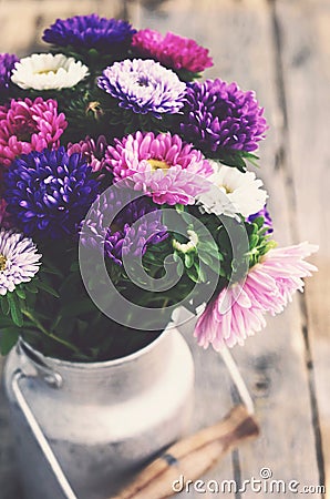 Bunch of colorful asters in old milk can, vintage effect Stock Photo