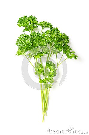 Bunch of curly parsley, fresh curly leaf parsley, from above Stock Photo