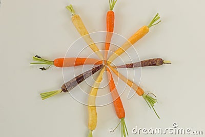 Bunch of differently coloured heritage carrots Stock Photo