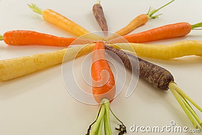 Bunch of differently coloured heritage carrots Stock Photo