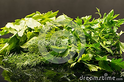 Bunch of dill,parsley and lovage Stock Photo