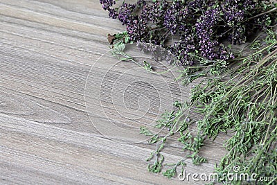 A bunch of dried grass. Thyme garden Stock Photo