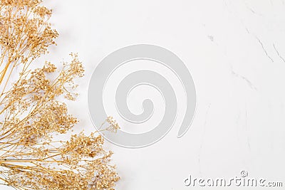 A bunch of dried gypsophila on a marble background Stock Photo