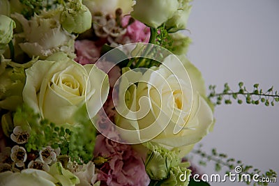 Bunch of elegant flowers in vase as love or Valentines day attribute Stock Photo