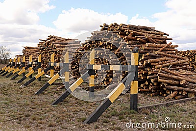 Bunch of felled trees near a logging site. Piles of wooden logs under blue sky Stock Photo