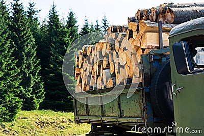 Bunch of firewood in a truck Stock Photo