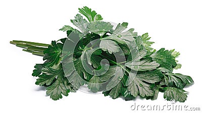 Bunch of flat-leaved parsley, paths Stock Photo