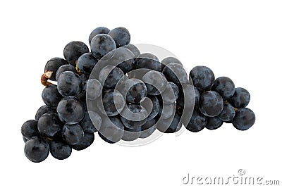 Bunch of fresh blue grapes Stock Photo