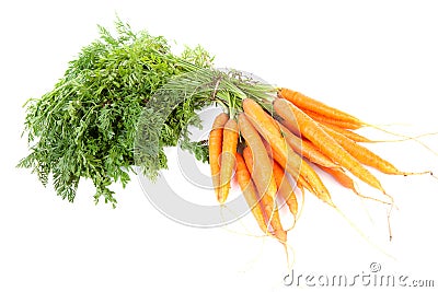 Bunch of fresh carrots Stock Photo