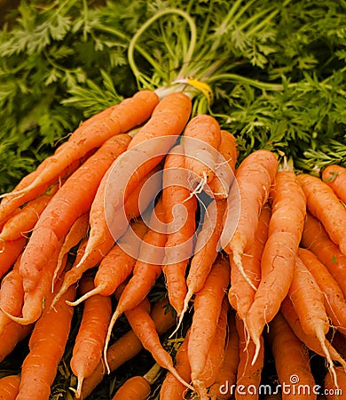Bunch of fresh carrots in farmer's market Stock Photo