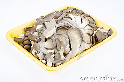 Bunch of fresh cultivated gray oyster mushrooms on white background. Studio Photo Stock Photo