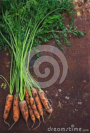 Bunch of fresh garden carrots over grunge rusty Stock Photo