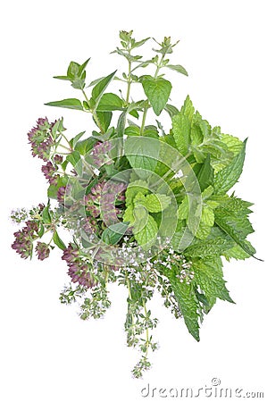 Bunch fresh herbs mint, thyme, lemon balm Stock Photo