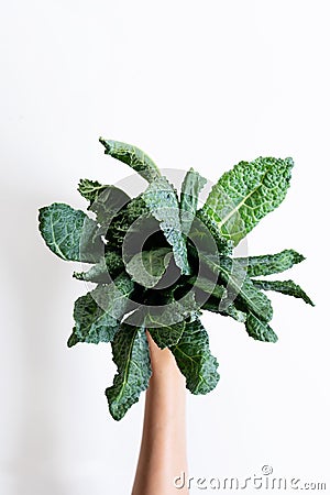 Bunch of fresh lacinato kale Stock Photo