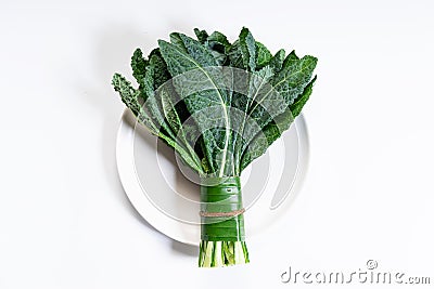 Bunch of fresh lacinato kale Stock Photo