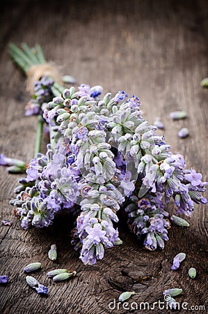 Bunch of fresh lavender Stock Photo