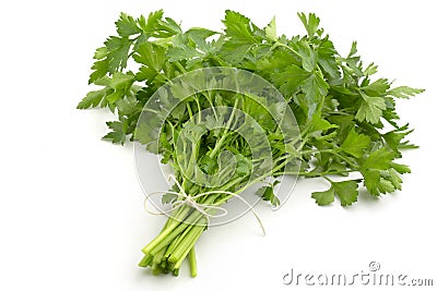 Bunch of fresh parsley Stock Photo