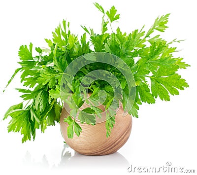 Bunch fresh parsley Stock Photo