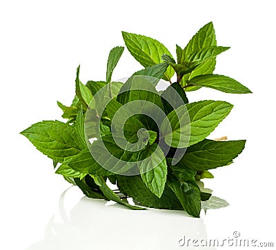 A bunch of fresh peppermint Stock Photo