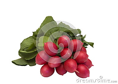 Bunch of fresh radish isolated Stock Photo